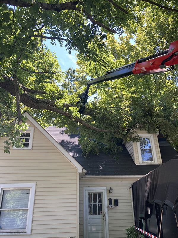 Emergency Tree Removal Winston-Salem - Dawson Tree Service